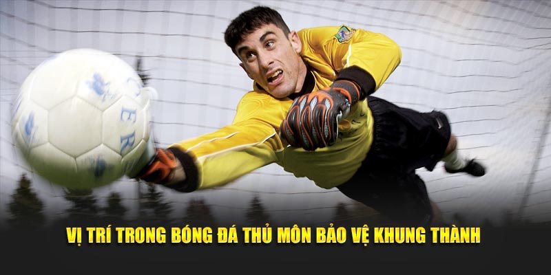 Vị trí trong bóng đá Thủ môn bảo vệ khung thành